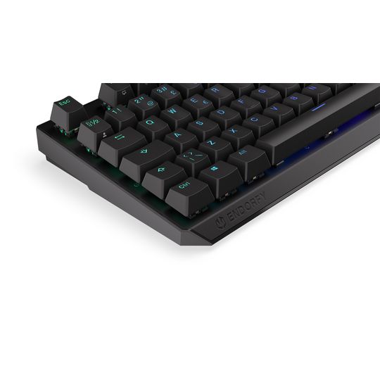 12337