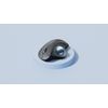 Mús Logitech Wireless Trackball M575 for business