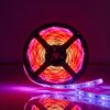Snjall-LED borði RGB WiFi Smart LED Strip 5m 960lm