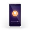 Snjallpera Nedis E27 hvít LED 806lm 9W WiFi 3-pack