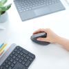 Logitech Mouse MX Ergo Vertical - USB, 2.4 GHz, black