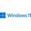 Microsoft Windows 11 Pro Operating System 64-bit English (1 Pack), OEM