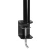 Mounting stand for one monitor Arctic 15kg Z1 Basic