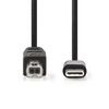 Kapall USB C karl - B karl 1m