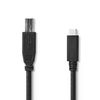 Kapall USB C karl - B karl 1m