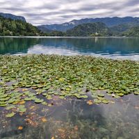 VRSIC, BLEDVATNIÐ OG FLEIRA FALLEGT  |  RAF-FJALLAHJÓLAFERÐ