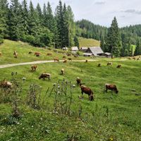 VRSIC, BLEDVATNIÐ OG FLEIRA FALLEGT  |  RAF-FJALLAHJÓLAFERÐ