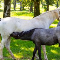 VRSIC, BLEDVATNIÐ OG FLEIRA FALLEGT  |  RAF-FJALLAHJÓLAFERÐ