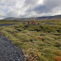 ELDHRAUNIN Í AUSTURSVEITUM 2026