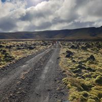 ELDHRAUNIN Í AUSTURSVEITUM 2026