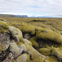 ELDHRAUNIN Í AUSTURSVEITUM 2026