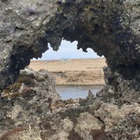 ELDHRAUNIN Í AUSTURSVEITUM 2026