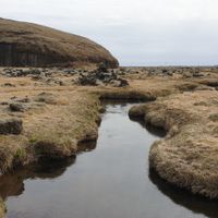 ELDHRAUNIN Í AUSTURSVEITUM 2026