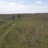 ELDHRAUNIN Í AUSTURSVEITUM 2026