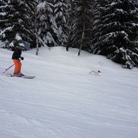 TÉKKLAND UM JÓLIN 2025