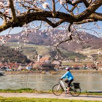 DÓNÁRDRAUMUR 2026 - RAFHJÓLAFERÐ