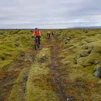 ELDHRAUNIN Í AUSTURSVEITUM 2026