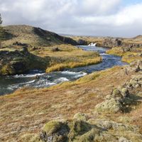 ELDHRAUNIN Í AUSTURSVEITUM 2026