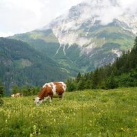 ÚT OG SUÐUR - RAFHJÓLAFERÐ - SEPT. 2026 