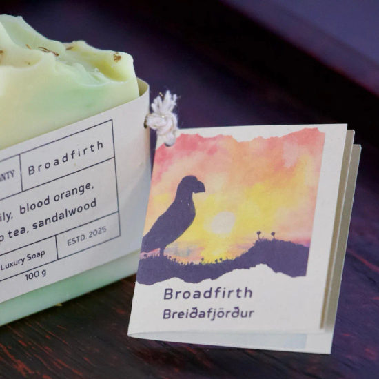 Gamla L&aelig;knah&uacute;si&eth; hands&aacute;pa Brei&eth;arfj&ouml;r&eth;ur