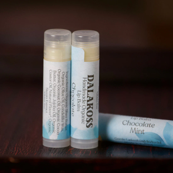 Gamla L&aelig;knah&uacute;si&eth; Dalakoss varasalvi