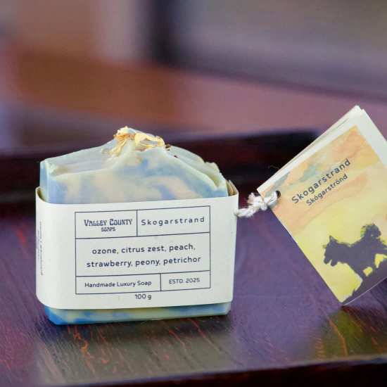 Gamla L&aelig;knah&uacute;si&eth; hands&aacute;pa Sk&oacute;garstr&ouml;nd