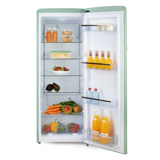 Domo Retro k&aelig;lisk&aacute;pur