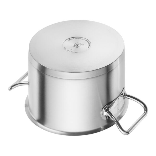 Zwilling Pro pottasett 