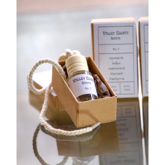 Gamla L&aelig;knah&uacute;si&eth; b&iacute;lailmur nr.10