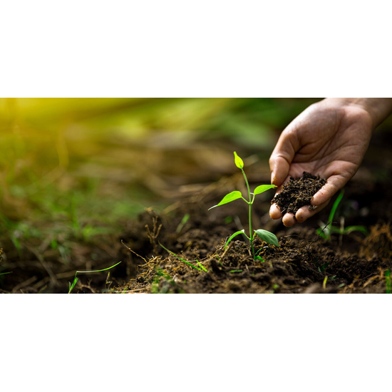 BlueVent MUMU moltuger&eth;art&aelig;ki 