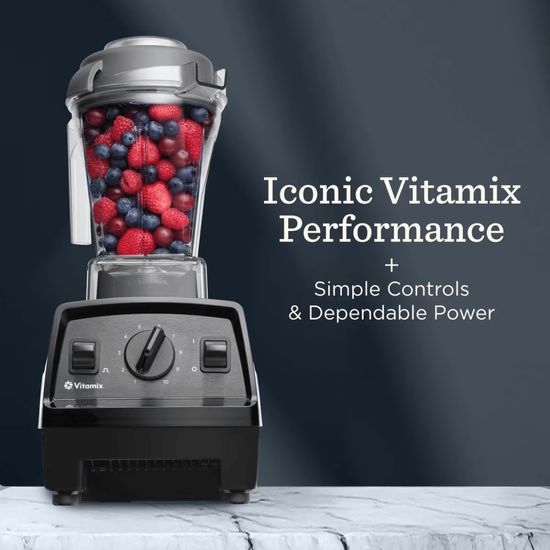 Vitamix E310 blandari